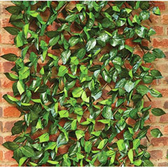 Birch Leaf Trellis - 30cm x 180cm