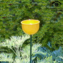 Wildlife World Colour Cup Bird Feeder Yellow