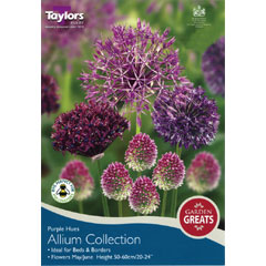 Taylors Autumn Bulbs Value Allium Collection - 50 bulbs