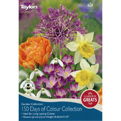 Taylors Autumn Bulbs 150 Days of Colour Collection - 50 bulbs