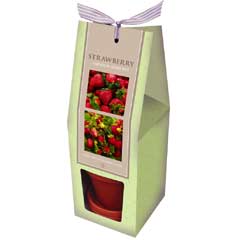 Spring Bulbs - Strawberry Gift Set