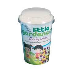 Johnsons Little Gardeners Starter Pot - Cheeky Violas