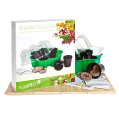 Grow Your Own Snazzy Salad Kit