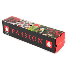 Javado Colorize Mix - Passion Red 18 Bulbs