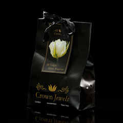 Javado Crown Jewels - Tulipa  Exotic Emperor 30 Bulbs