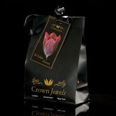 Javado Crown Jewels - Tulipa Havran 30 Bulbs
