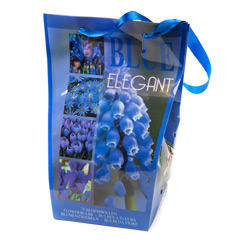 Javado Elegant Blue - 75 bulbs