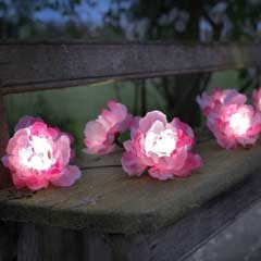 Smart Garden Pink Rose  Solar Light String - 10 Roses