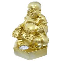 Smart Garden Solar Golden Buddha Spotlight