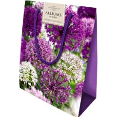 Taylors Colourful Allium Mix - Gift Bag of 20 Bulbs