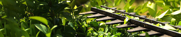 Guide to Garden Hedge Trimmers