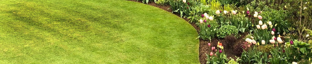 Lawn Edging