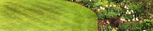 Lawn Edging