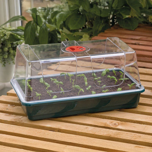 Garland High Dome Large Propagator with Holes