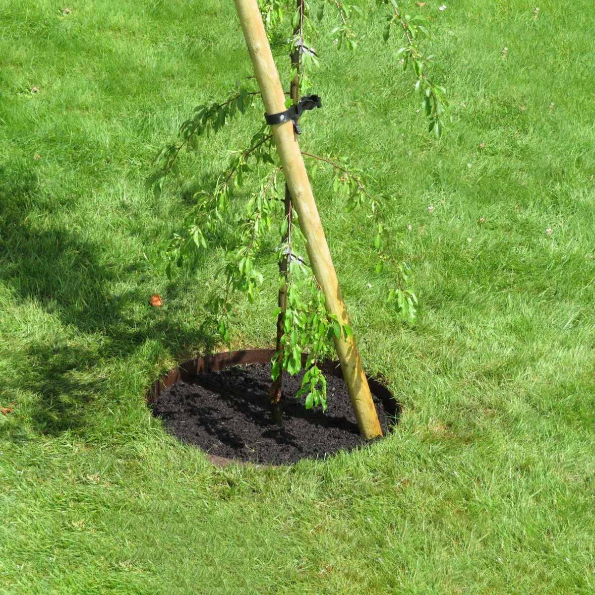 0.6m Everedge Lawn Edge Ring - H7.5cm