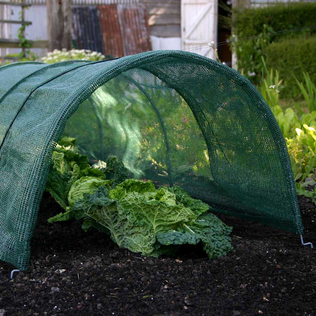 Haxnicks Easy Net Tunnel - 300cm