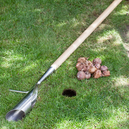 Burgon & Ball RHS Long Handled Bulb Planter