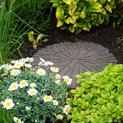 Greenfingers Recycled Rubber Cracked Log Stepping Stone