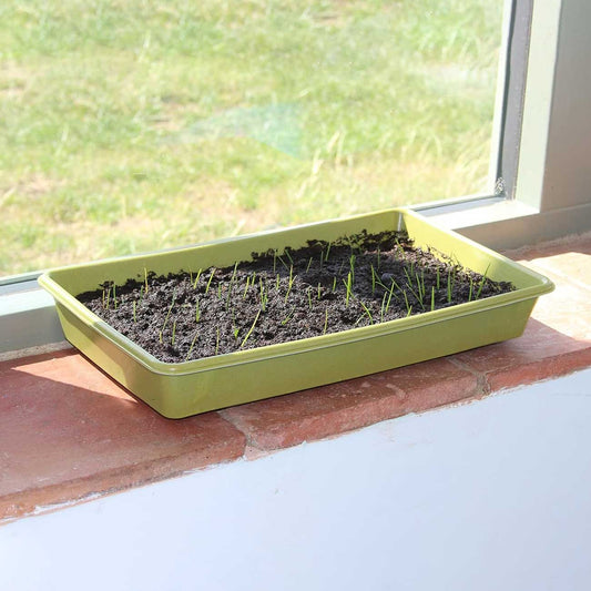 Haxnicks Plastic Free Bamboo Seed Tray
