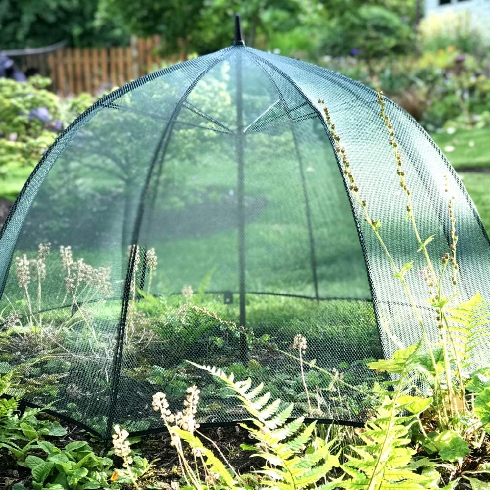 GardenSkill Pop n Crop Plant Umbrella - Dia. 100cm x H75cm
