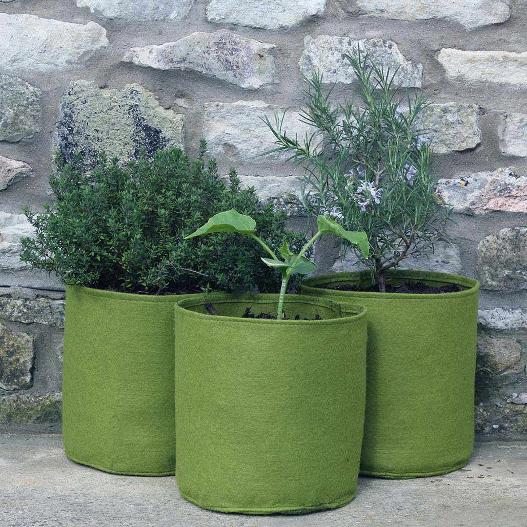 Haxnicks Vigoroot Pots - 20 Litres - 3 Pack