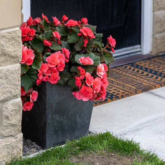 Tierra Verde Sonata Square Planter - 33cm - Slate
