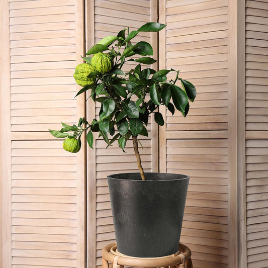 Tierra Verde Octavia Round Planter 28cm - Slate